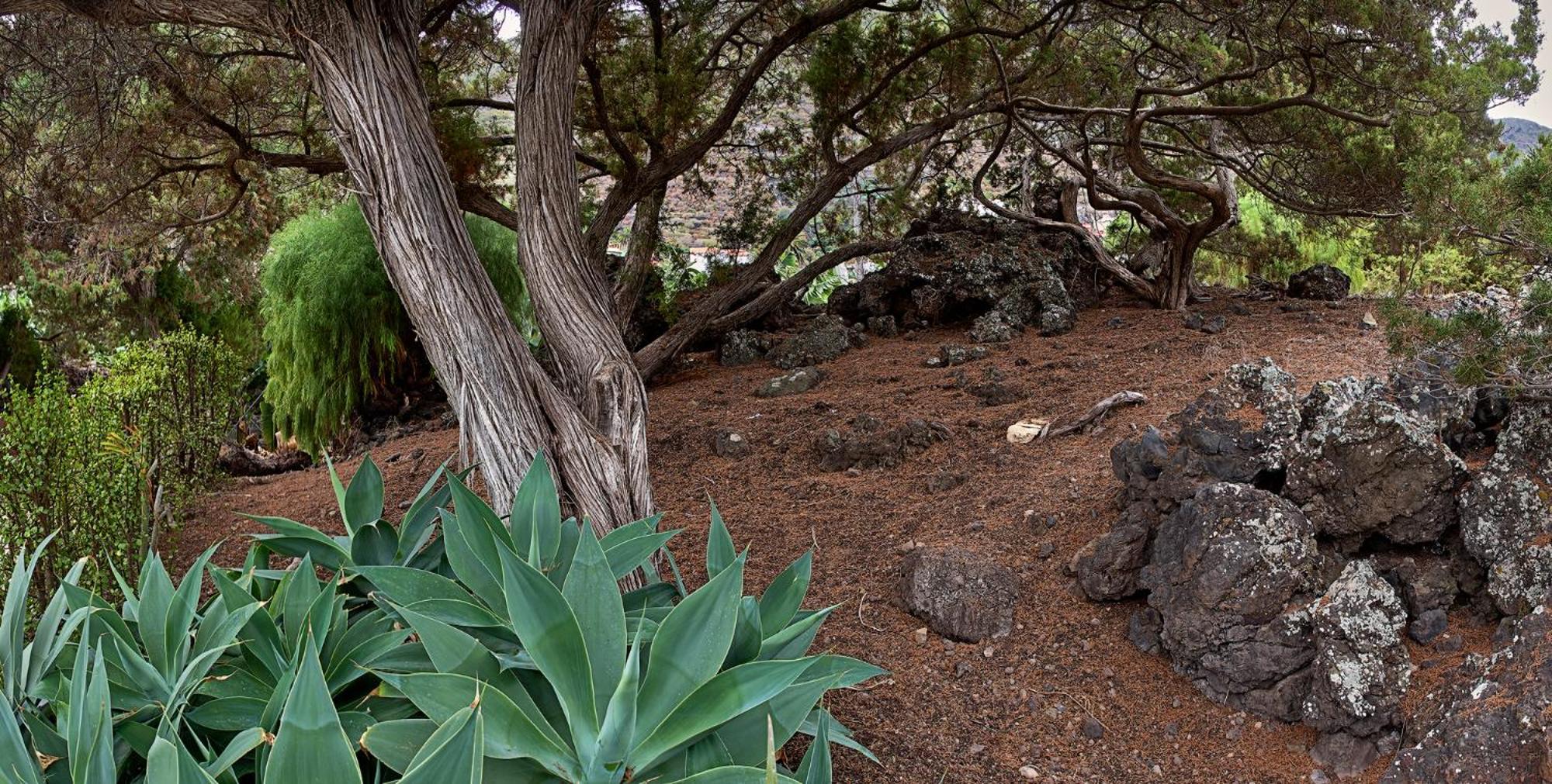 Las Sabinas Villa - El Guincho, Garachico Garachico  Kültér fotó