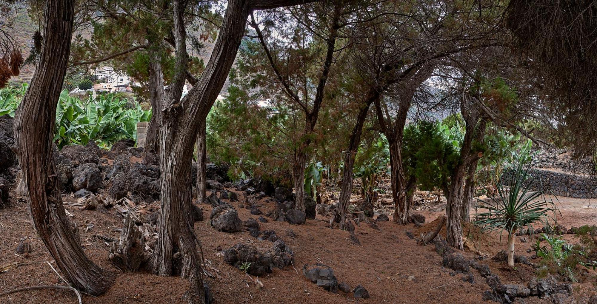 Las Sabinas Villa - El Guincho, Garachico Garachico  Kültér fotó