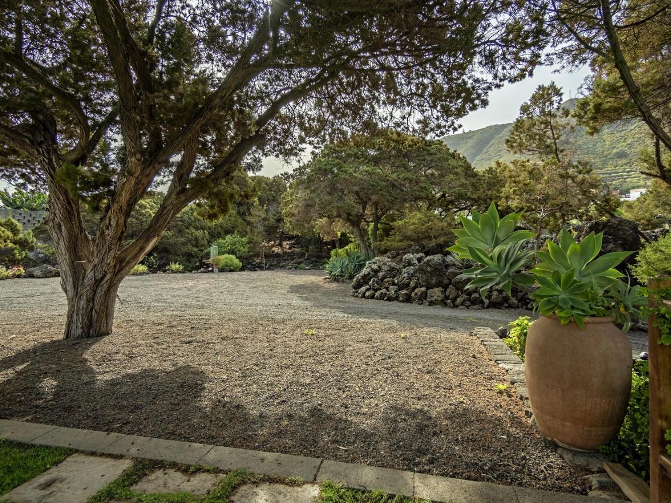 Las Sabinas Villa - El Guincho, Garachico Garachico  Kültér fotó